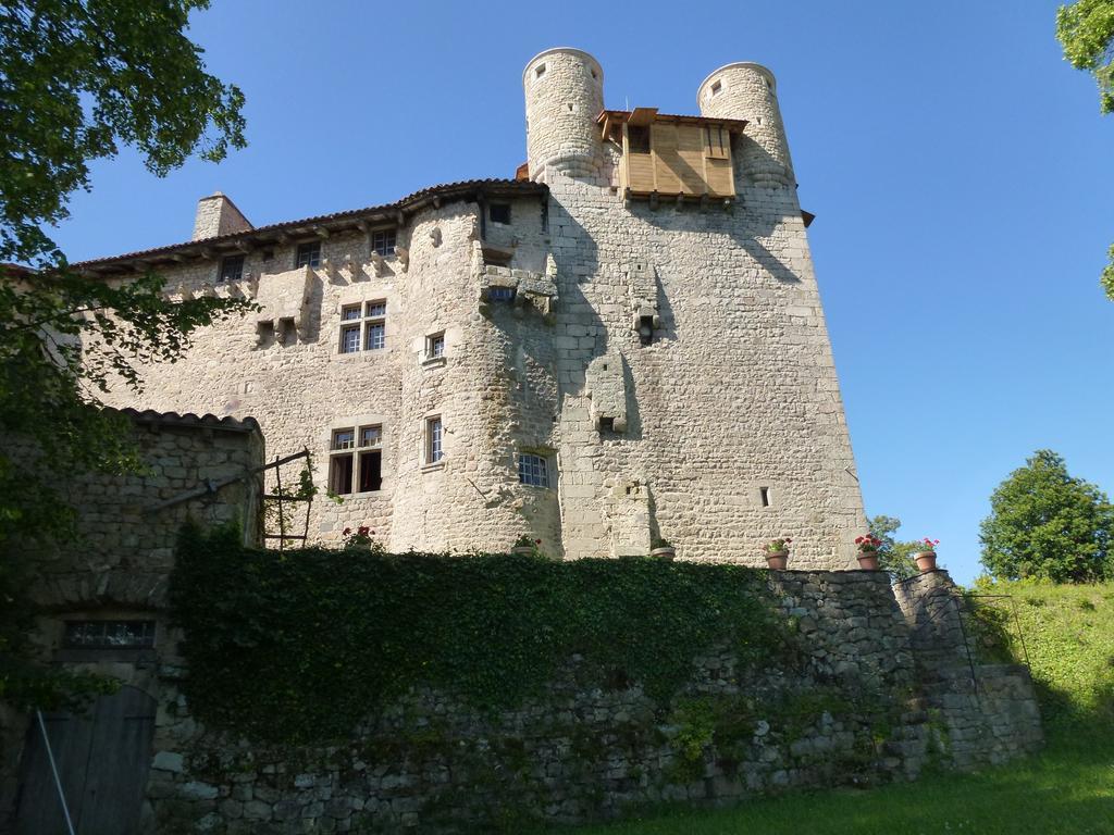 Bed and Breakfast Chateau De Maisonseule Saint-Basile Zewnętrze zdjęcie
