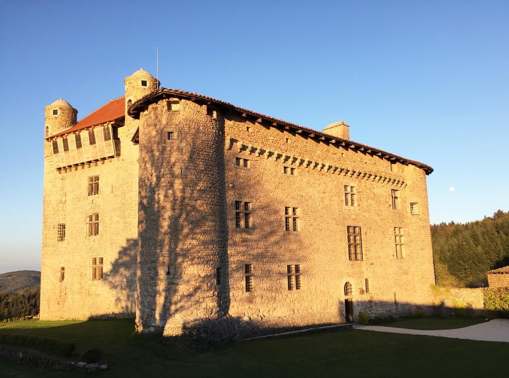 Bed and Breakfast Chateau De Maisonseule Saint-Basile Zewnętrze zdjęcie