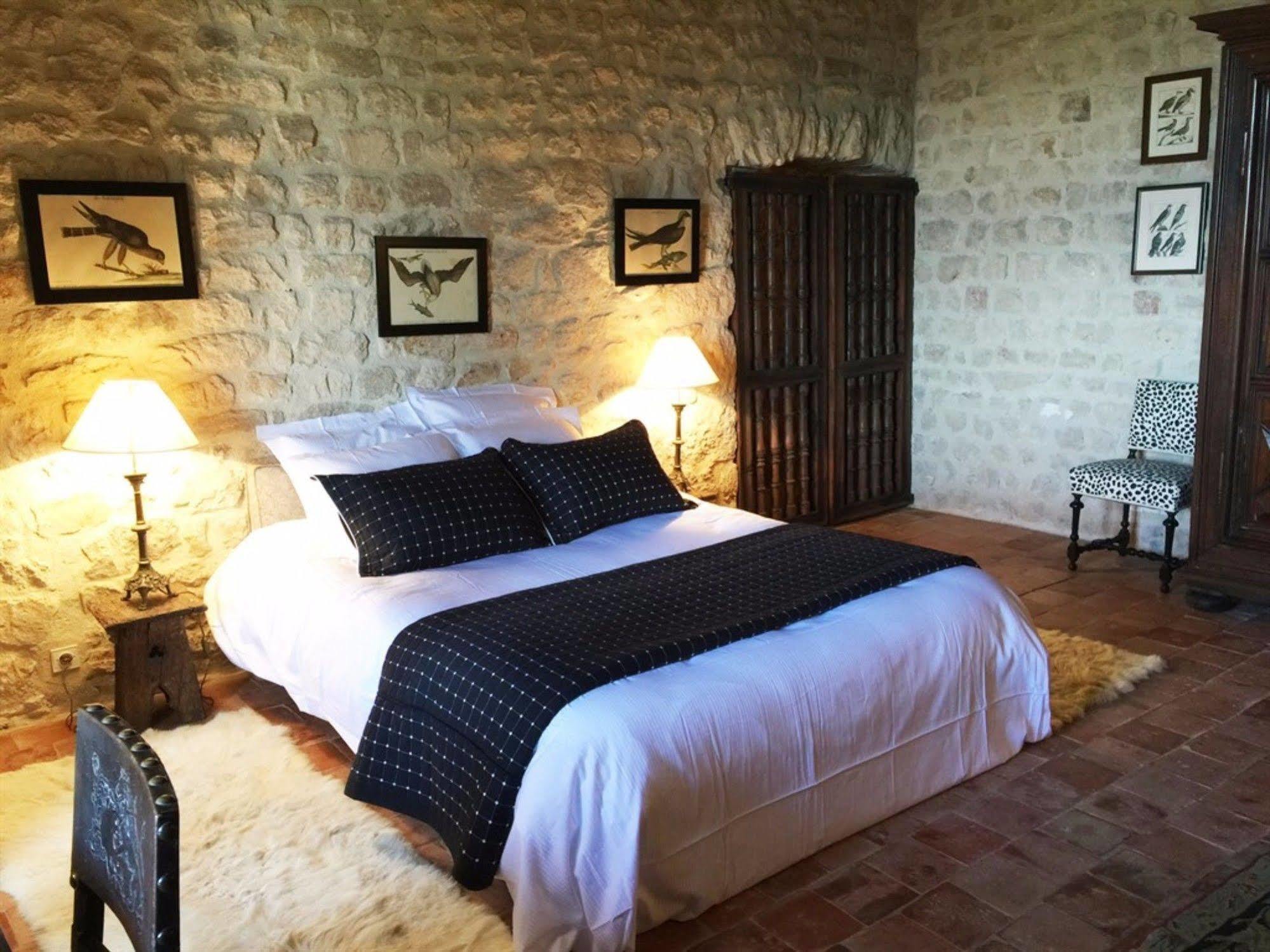 Bed and Breakfast Chateau De Maisonseule Saint-Basile Zewnętrze zdjęcie