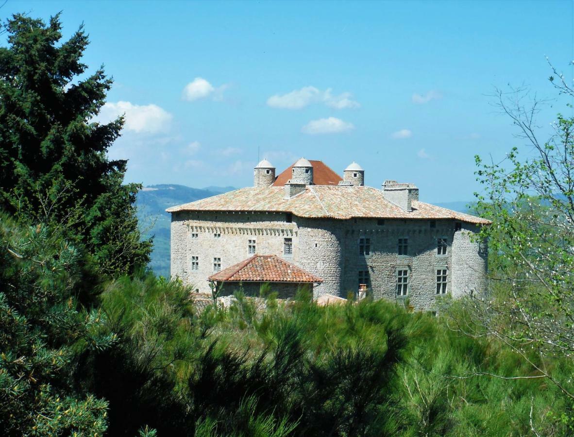 Bed and Breakfast Chateau De Maisonseule Saint-Basile Zewnętrze zdjęcie