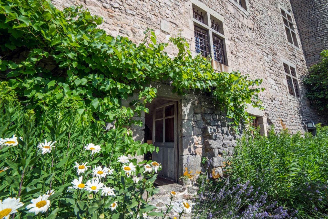 Bed and Breakfast Chateau De Maisonseule Saint-Basile Zewnętrze zdjęcie